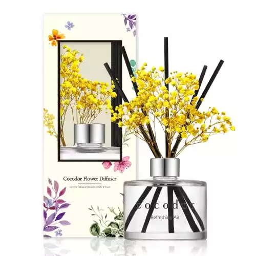 COCODOR Preserved Real Flower Reed Diffuser