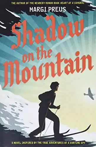 Amazon.com : shadow on the mountain