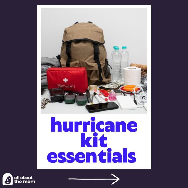 It is hurricane season for the east coast and there are a few storms brewing right now. We want to make sure everyone is prepared in case a storm heads your way. Lizzie has all the info you need on how to prepare a hurricane essentials kit and why it is so important. Swipe to view some of our essentials and use the link in bio to view everything you’ll need.