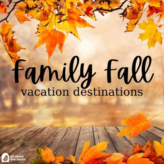 It’s fall y’all!🍁 If you’re itching to get out with the family and see some beautiful foliage and scenery during the most colorful season, we have a list of must visit destinations. Use the link in bio to view them all.
.
.
.
#fall #fallvibes #fallseason #fallfoliage #fallweather #fallroadtrip #fallfamilyfun #falltravel #falltraditions #familyfun #familyroadtrip #familyvacay #familyvacation #familytime #familytravel #motherhoodinspired #motherhoodthroughinstagram #motherhoodsimplified #motherhoodunited #motherhoodthroughig #motherhoodrocks #motherhoodalive #mamahood #mamahoodcommunity #momblogger #momblog #mombloggersofig #instatravel #instatraveling #shareaboutthemom